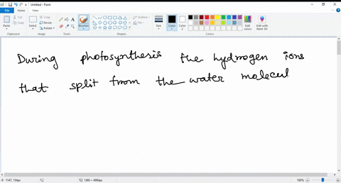 during-photosynthesis-the-energy-from-sunlight-is-used-to-split-water-molecules-what-happens-to-the-hydrogen-ions-that-are-split-from-the-water-molecules-they-flow-out-of-the-thylakoid-provi-20422