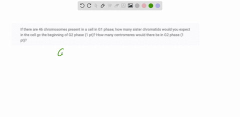 if-there-are-46-chromosomes-present-in-a-cell-in-g1-phase-how-many-sister-chromatids-would-you-expect-in-the-cell-gc-the-beginning-of-g2-phase-1-pt-how-many-centromeres-would-there-be-in-g2-87906