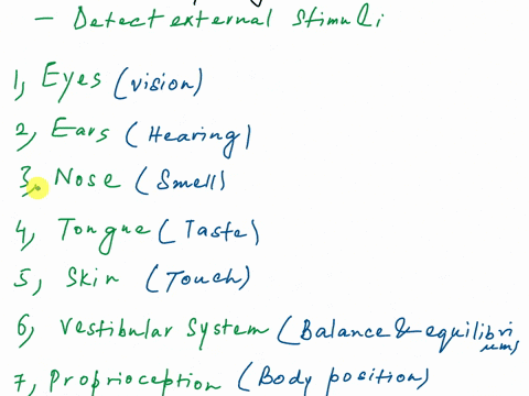 what-are-sensory-organs-and-what-type-of-stimuli-do-these-receptors-respond-to-83815