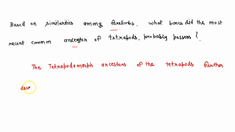 based-on-similarities-among-forelimbs-what-bones-did-the-most-recent-common-ancestor-of-tetrapods-probably-possess-in-your-response-refer-to-the-bones-and-their-connections-for-example-the-s-29892