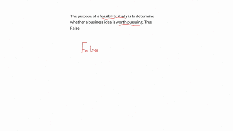 the-purpose-of-a-feasibility-study-is-to-determine-whether-a-business-idea-is-worth-pursuing-true-false