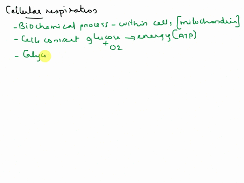 what-is-the-difference-between-cellular-respiration-and-breathing-62156