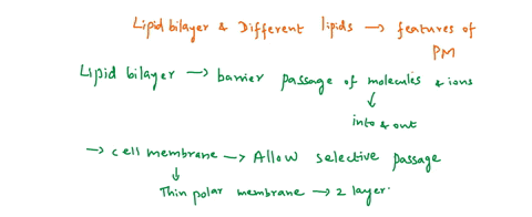 describe-a-lipid-bilayer-and-explain-how-different-types-of-lipids-influence-the-characteristics-of-the-plasma-membrane-08924