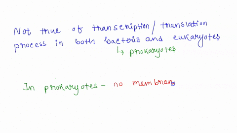 which-of-the-following-is-not-true-of-transcription-translation-processes-in-both-bacteria-and-eukaryotes-select-one-a-translation-of-polypeptide-can-occur-before-transcription-of-the-mrna-i-51485
