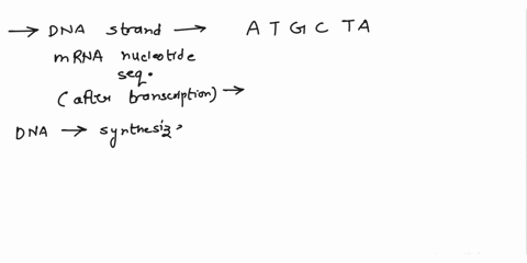 if-the-dna-strand-of-the-nucleotides-are-atgcta-what-would-be-the-mrna-nucleotide-sequence-after-transcription-86462