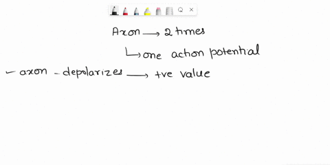 1-researchers-stimulate-an-axon-two-times-within-fifteen-milliseconds-when-measuring-voltage-changes-on-the-other-end-of-the-axon-the-researchers-only-detect-one-action-potential-why-does-th-95116
