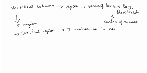 please-help-me-as-soon-as-possible-olumn-and-thoracic-cage-part-aassessments-complete-the-following-statements-1the-vertebral-column-encloses-and-protects-the-2-the-vertebral-column-extends-48542