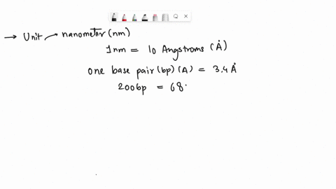 how-many-proteins-could-you-fit-along-a-2000-bp-long-piece-of-dna-assume-that-the-protein-is-a-34-nm-cube-and-that-the-distance-between-two-base-pairs-in-a-sequence-is-34-angstroms-68268
