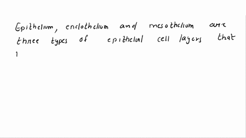 what-are-the-different-types-of-epithelial-tissue-explain-in-detail-45378