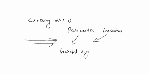 the-crossing-over-within-the-paracentric-inversion-results-in-a-two-monocentric-chromosomes-with-deletions-and-duplications-b-non-reciprocal-translocation-c-two-polytene-chromosomes-d-one-ac-27449