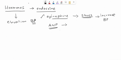 which-of-the-following-hormones-increase-blood-pressure-select-all-that-apply-epincphrine-atrial-natriuretic-pcptide-angiotensin-ii-aldosterone-antidiuretic-hormone-thyroid-hormones-29533