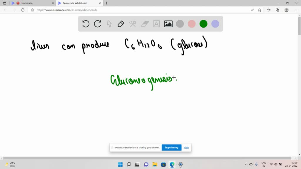 Solved Partial Question Pts Which Of The Following Organs