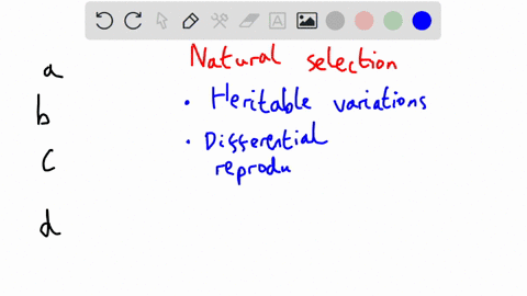 which-of-these-best-illustrates-natural-selection-the-largest-organisms-in-a-species-receive-the-only-breeding-opportunities-an-organism-with-favorable-genetic-variations-will-tend-to-surviv-42386