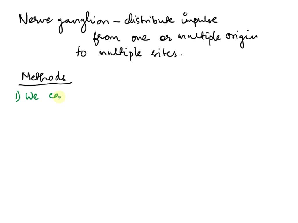 SOLVED: Suppose Axon A Enters A Ganglion (cluster Of Neurons) And Axon ...