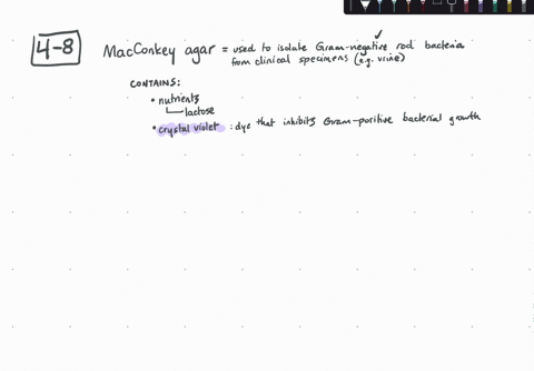 if-the-mathrmph-indicator-were-left-out-of-macconkey-agar-the-medium-would-be-a-complex-b-differenti-04787