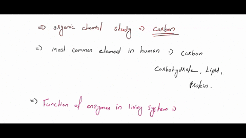 inorganic-chemistry-what-type-of-molecules-doe-organic-chemists-study-2-what-are-the-most-common-elements-from-which-the-human-body-is-made-3-what-is-the-function-of-enzymes-in-living-system-84583