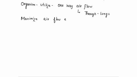 which-organisms-utilize-a-one-way-air-flow-through-their-lungs-to-maximize-air-flow-efficiency-and-oxygen-consumption-a-fish-b-mammals-c-amphibians-d-birds-23677