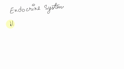 which-one-of-the-following-organ-systems-is-not-primarily-tasked-with-the-daily-maintenance-of-our-body-a-endocrine-system-b-digestive-c-excretory-system-d-respiratory-system-40648