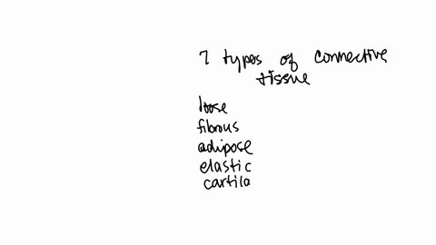 12-which-of-the-following-is-not-a-type-of-connective-tissue-a-blood-b-adipose-c-plasma-d-bone-e-cartilage