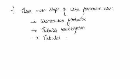 1-what-is-the-2nd-step-of-nephron-filtration-a-tubular-secretion-b-tubular-absorption-c-tubular-resecretion-d-tubular-reabsorption-2-about-how-many-nephrons-are-in-each-kidney-a-1-billion-b-97297