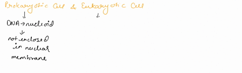 the-prokarvotic-cell-has-its-dna-contained-in-a-nucleus-whereas-condensed-into-nucleoid-region-the-eukaryotic-dna-true-false-question-11-2-points-which-is-not-comporent-of-the-endomembrane-s-41186