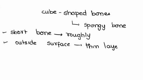 cube-shaped-bones-that-contain-mostly-spongy-bone-are-called-_____-bones-44546