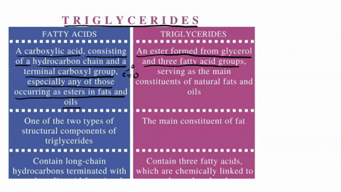 describe-the-similarities-and-differences-between-fatty-acids-and-triglycerides-and-include-the-chemical-elements-of-each-2-points-research-and-report-on-the-nutritional-effects-of-omega-3-a-66993