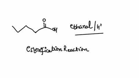 ethanol-h-oh-2-naoh-etoh-73584
