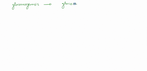 if-the-liver-glycogen-gets-depleted-what-can-be-used-to-make-glucose-through-gluconeogenesis-09045