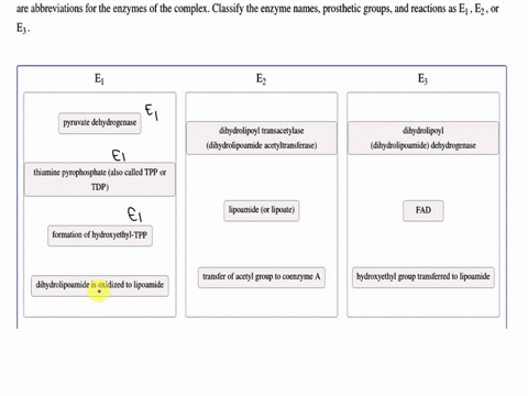 the-pyruvate-dehy-drogenase-complex-catalyzes-the-oxidative-decarboxylation-of-pyruvate-to-form-acetyl-coa-eq-ez-and-e-are-abbreviations-for-the-enzymes-of-the-complex-classify-the-enzyme-na-58583