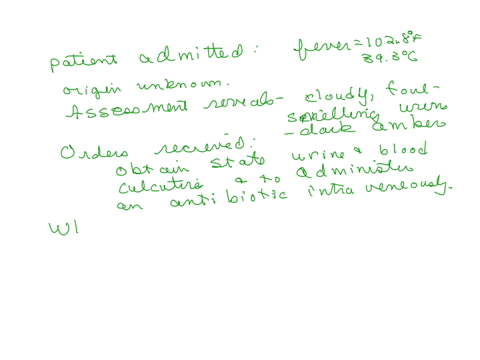 patient-is-admitted-with-a-fever-of-1028f-393c-origin-unknown-assessment-reveals-cloudy-foul-smelling-urine-that-is-dark-amber-in-color-orders-have-just-been-written-to-obtain-stat-urine-and-blood-cul