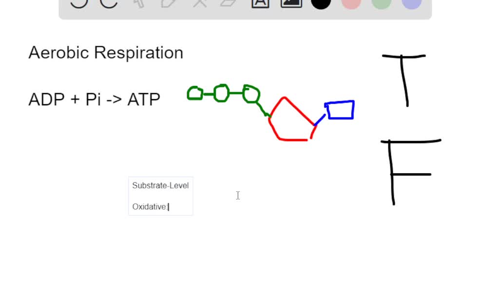 phosphorylation au niveau du substrat et phosphorylation oxydative