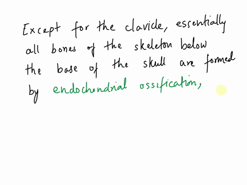except-for-the-clavicle-essentially-all-bones-of-the-skeleton-below-the-base-of-the-skull-are-formed-by-__________-ossification-which-begins-during-the-8th-week-of-development-the-process-be-04795