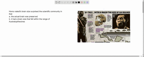 define-each-of-the-concepts-used-to-identify-species-morphological-biological-phylogenetic-and-provide-an-example-of-when-each-would-be-appropriate-30785