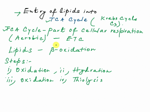 lipid-droplets-hepatocyte-acetoacetate-d-b-hydroxybutyrate-acetone-acetoacetate-and-d-b-hydroxybutyrate-exported-as-energy-source-for-heart-skeletal-muscle-kidneyand-brain-coa-ketone-body-fo-30406