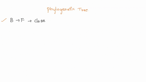 2-below-draw-a-phylogenetic-tree-a-cladogram-that-represents-the-following-relationships-draw-your-tree-with-the-root-at-the-bottom-and-the-tips-at-the-top-species-b-and-c-are-each-others-cl-43974