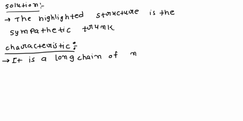 which-structure-is-highlighted-multiple-choice-gray-rami-communicans-dorsal-root-ganglia-dorsal-rami-ventral-rami-ganglia-of-sympathetic-trunk-78736