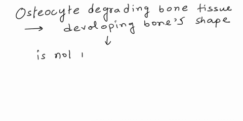 which-of-the-following-is-not-a-step-in-endochondral-bone-formation-multiple-choice-periosteum-forms-from-connective-tissue-outside-the-developing-bone-hyaline-cartilage-develops-into-the-sh-43469
