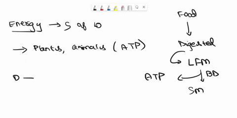 explain-the-surface-to-volume-ratio-22543