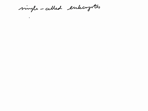 which-group-comprises-of-single-celled-eukaryotes-only-99985