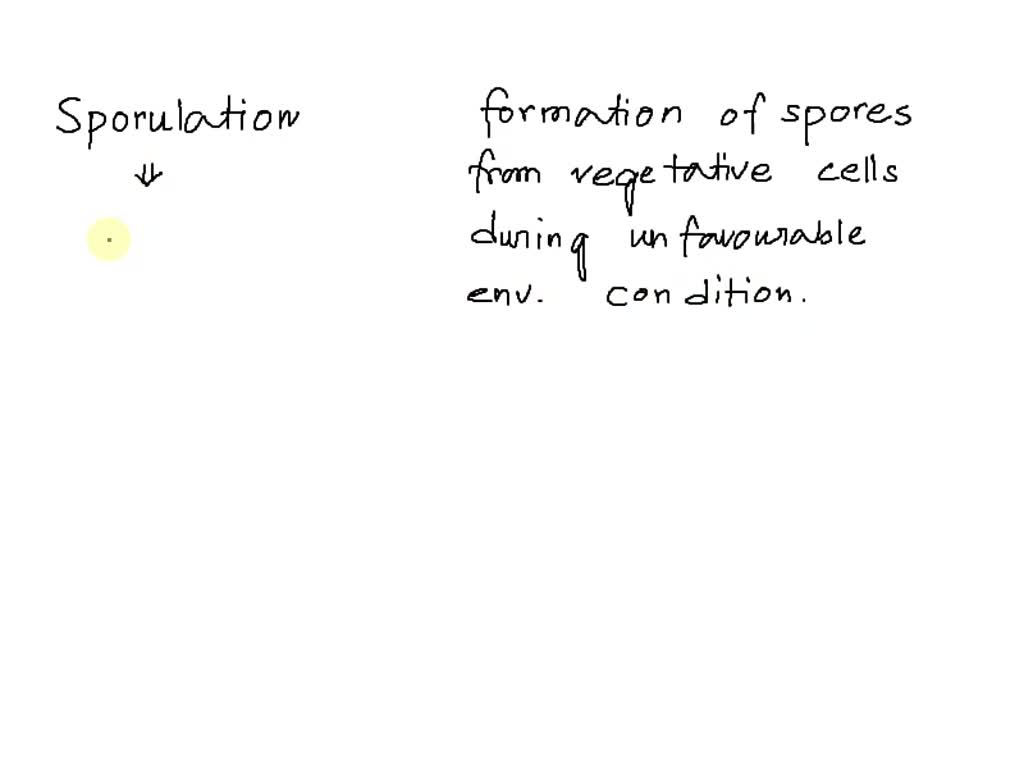 SOLVED Complete the statements to describe sporulation and vegetative
