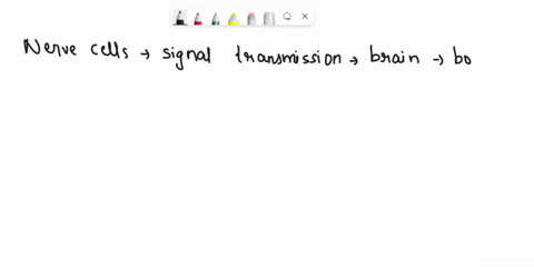question2-most-metabolic-and-regulatory-functions-in-a-neuron-happen-where-o-the-axon-the-neurosoma-o-thedendrites-the-axon-hillock-othe-astrocytes-p-34524