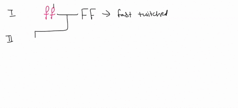 use-the-below-pedigree-chart-to-answer-the-following-questions_-muscle-type-is-not-a-sex-linked-characteristic-fast-twitch-muscles-f-are-dominant-over-slow-twitch-muscles-10-14-13-write-the-30678