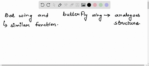 the-bat-wing-and-butterfly-wing-are-considered-to-be-analogous-structures-they-both-serve-a-very-similar-function-but-were-derived-by-similar-needs-in-an-environment-not-from-a-common-ancest-08134