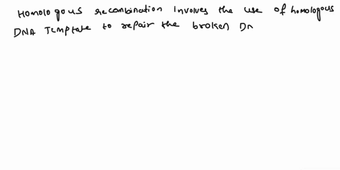 which-dna-repair-mechanisms-is-able-to-detect-and-repair-dna-double-strand-breaks-without-introducing-errors-homologous-recombination-nonhomologous-end-joining-mismatch-repair-nucleotide-exc-78828