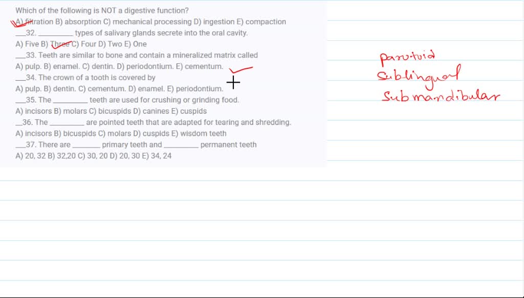 SOLVED Which of the following is NOT a digestive function? A