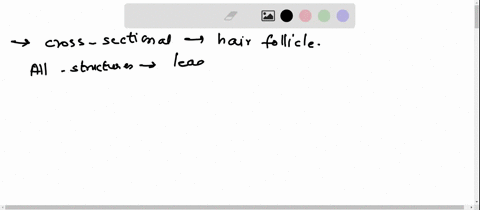 just-need-help-with-2-and-3-thank-you-appendages-of-the-skin-1figure-52-shows-longitudinal-and-cross-sectional-views-of-a-hair-follicle-part-a-1identify-and-label-all-structures-provided-wit-55983