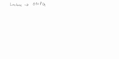 how-does-lactase-bind-to-onpg-how-does-enzyme-lactase-bind-to-lactose-what-kinds-of-inhibitions-are-there-57815