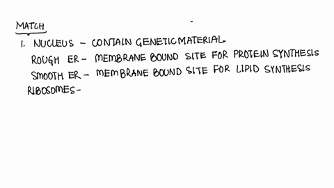 up-close-eukaryotic-cells-and-orqanelles-match-the-organelles-with-the-proper-description-nucleus-membrane-bound-sit-of-protein-production-rough-er-network-of-protein-fibers-that-help-moving-98487