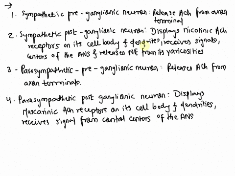 acetylcholine-ach-is-used-as-a-neurotransmitter-in-both-branches-of-the-ans-norepinephrine-ne-is-used-as-a-neurotransmitter-in-only-the-sympathetic-sns-branch-place-the-following-description-35598